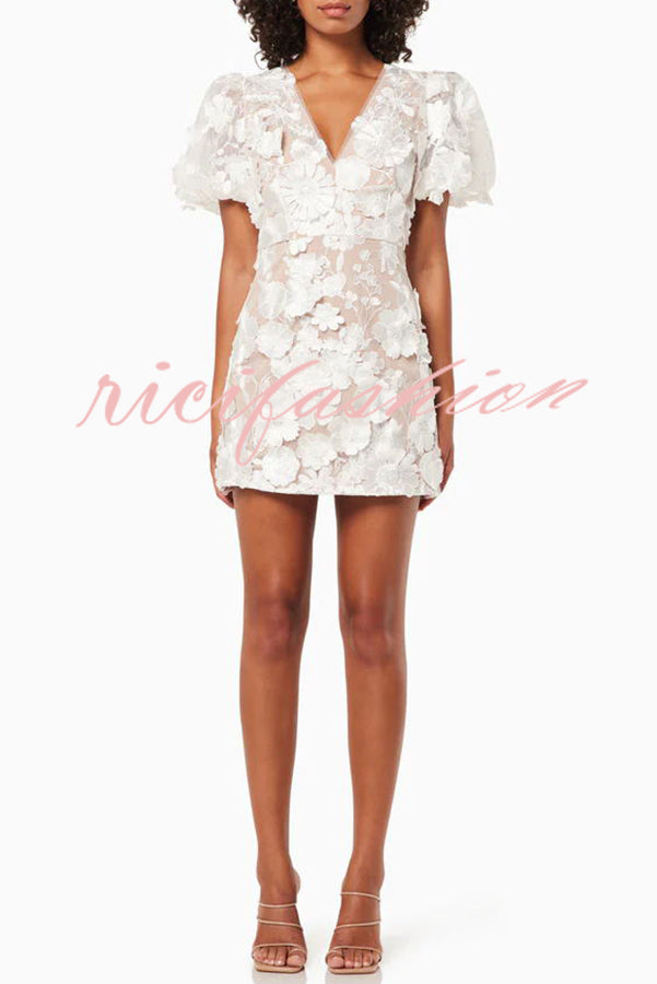 Garden Gala Embroidered Floral Applique Puff Sleeve Mini Dress