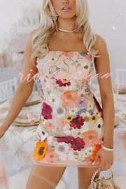 Dream World Embroidered Floral Applique Adjustable Straps Mini Dress