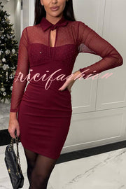 Sexy Energy Mesh Glitter Fabric Cutout Shirt Neck Long Sleeve Stretch Mini Dress