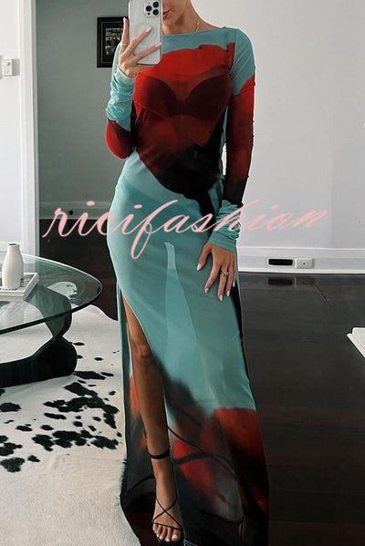 Mesh Floral Print Round Neck Long Sleeve Stretch Maxi Dress