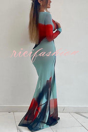 Mesh Floral Print Round Neck Long Sleeve Stretch Maxi Dress