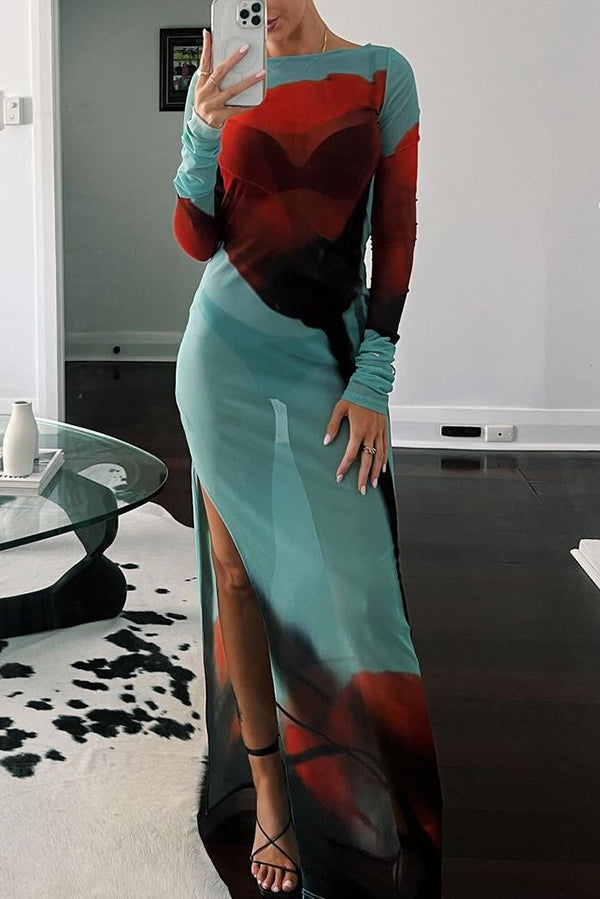 Mesh Floral Print Round Neck Long Sleeve Stretch Maxi Dress