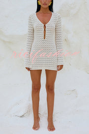 Solid Long Sleeve V Neck Beach Cover Up Mini Dress