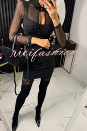 Stevie Mesh Glitter Fabric Cutout Shirt Neck Long Sleeve Stretch Mini Dress